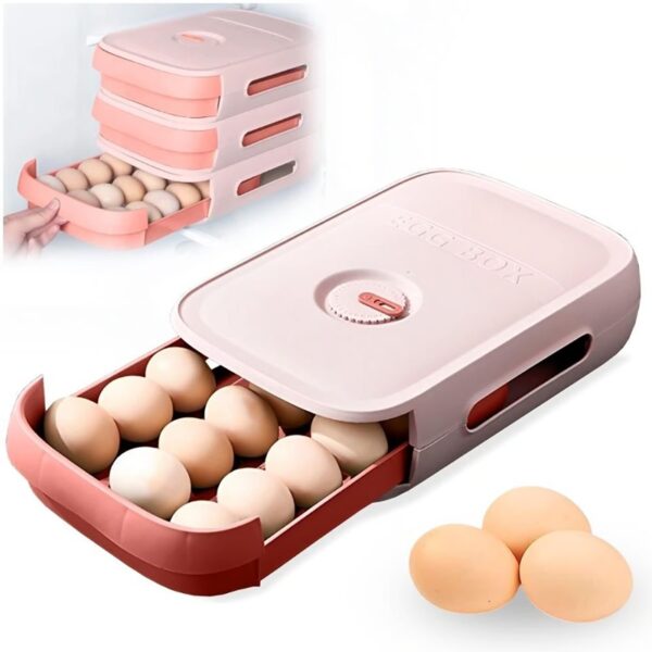 Bandeja organizador de Huevos 3
