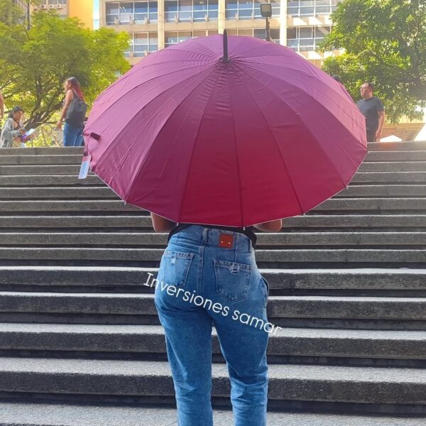 Paraguas de baston 1