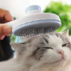 Cepillo de Pelo para Mascotas con Boton de Limpieza