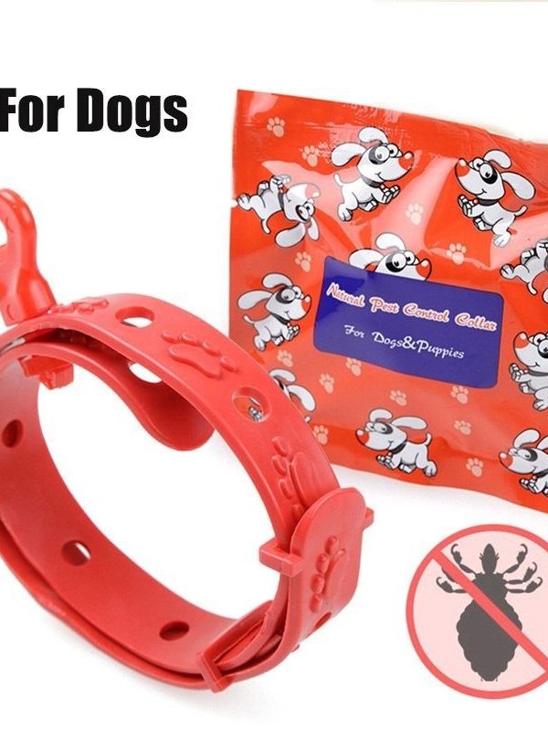 Collar Antipulgas Graduable para Mascotas
