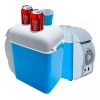 Mini Cooler Refrigerador Y Calentador Portatil Para Auto