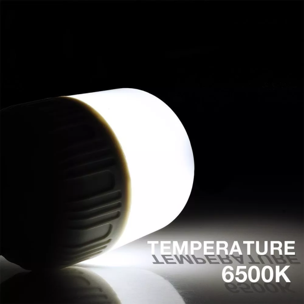 Foco Bombilla LED de 30W