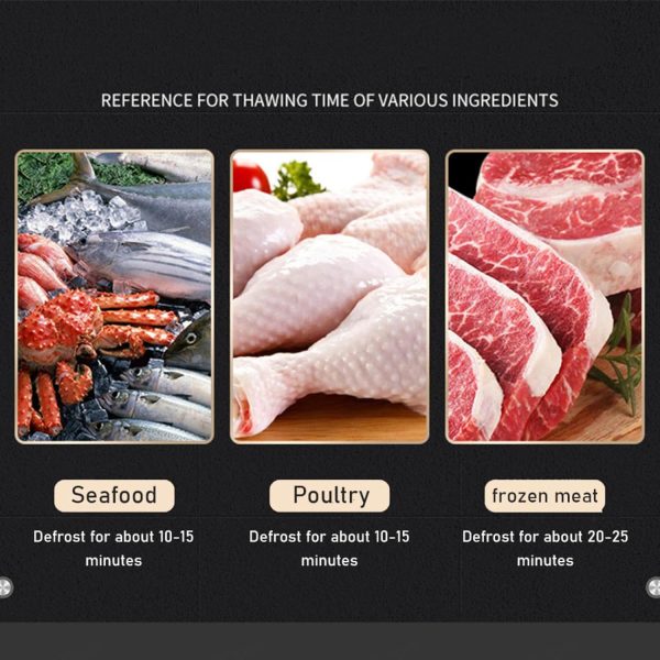 Mauina-de-Descongelacion-Rapida-alimentos.jpg Maquina de Descongelacion Rapida de Alimentos