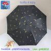 paragua-protecto-con-diseno-13.jpg Paraguas Protector del Sol Plegable de Cartera con Diseño
